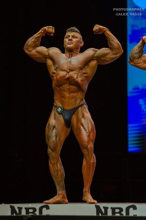 BODYBUILDING 102